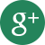 Google+